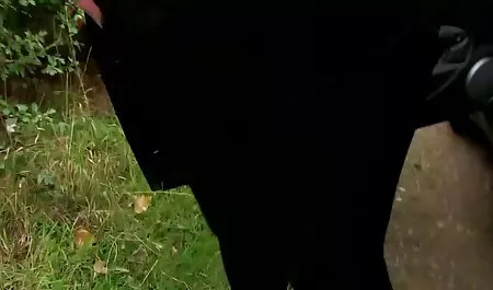 Punk estudiante de la Escuela maduras calientes borrachas secundaria