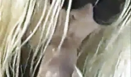 Chicas con pechos de silicona maduras calientes peruanas